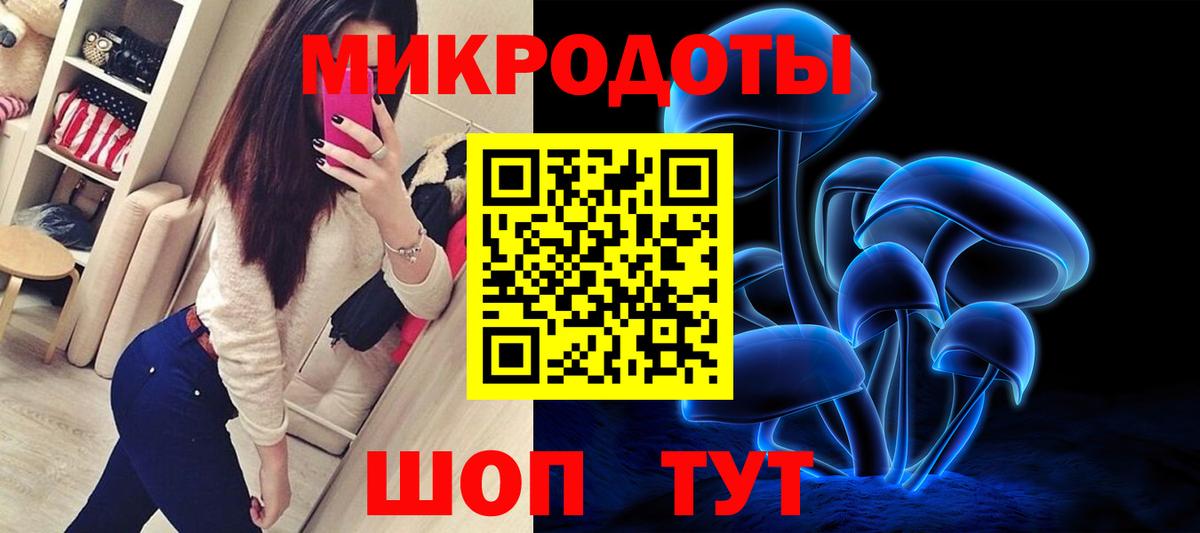 Псилоцибиновые грибы Cubensis Коломна